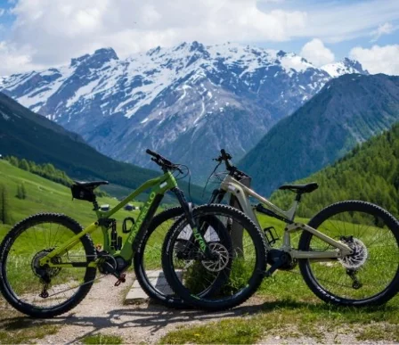 Biciclette/E-bike